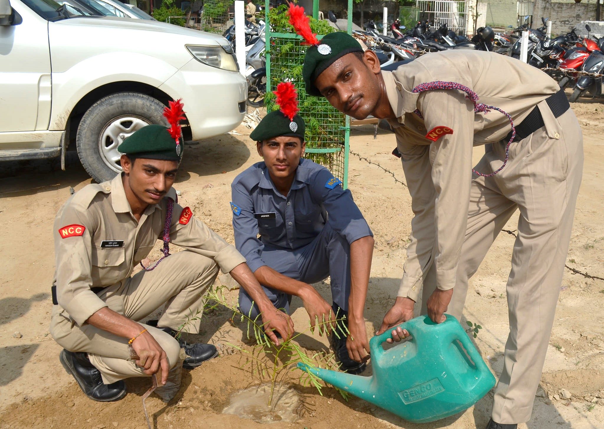 tree plantation ssjbc sirsa